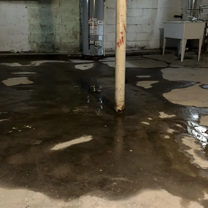 Emergency Water Extraction And Removal in Branson, MO